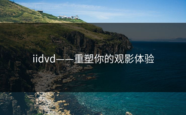 iidvd——重塑你的观影体验