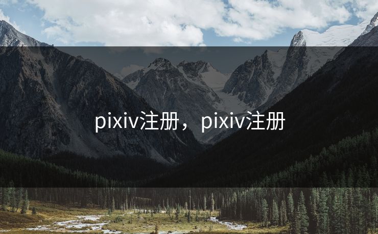 pixiv注册，pixiv注册