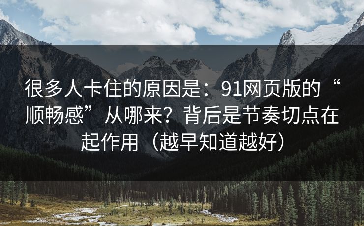 很多人卡住的原因是：91网页版的“顺畅感”从哪来？背后是节奏切点在起作用（越早知道越好）