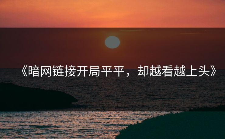 《暗网链接开局平平，却越看越上头》