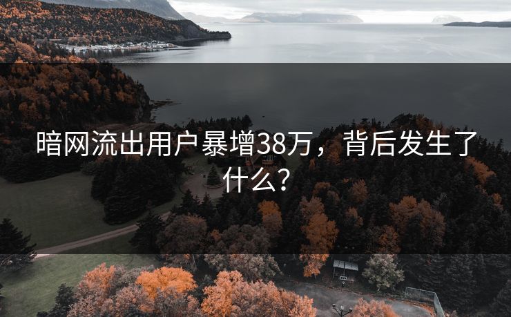 暗网流出用户暴增38万，背后发生了什么？