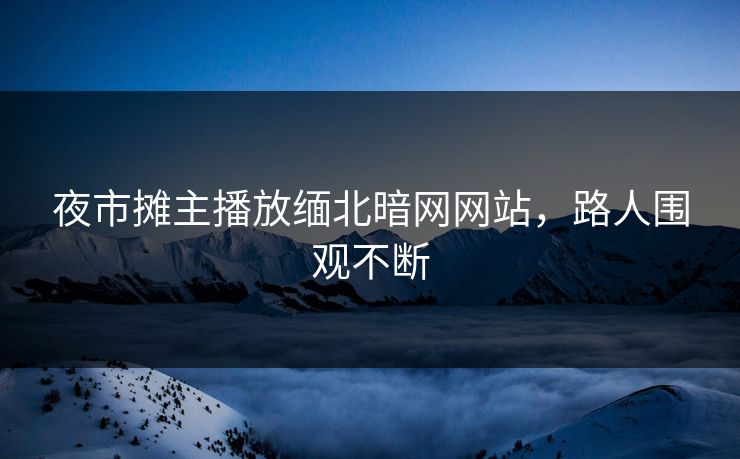 夜市摊主播放缅北暗网网站，路人围观不断