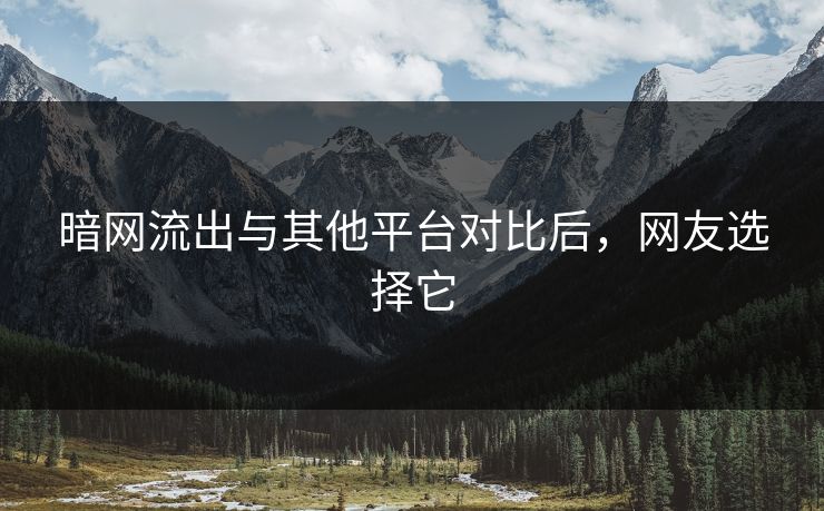 暗网流出与其他平台对比后，网友选择它