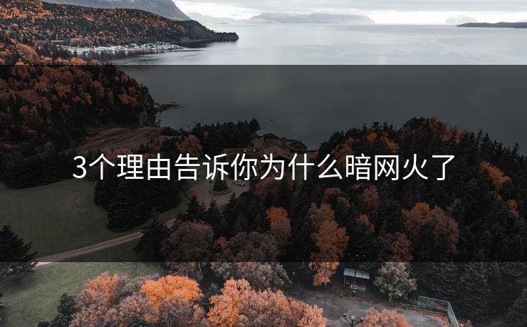 3个理由告诉你为什么暗网火了