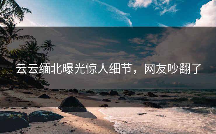 云云缅北曝光惊人细节，网友吵翻了