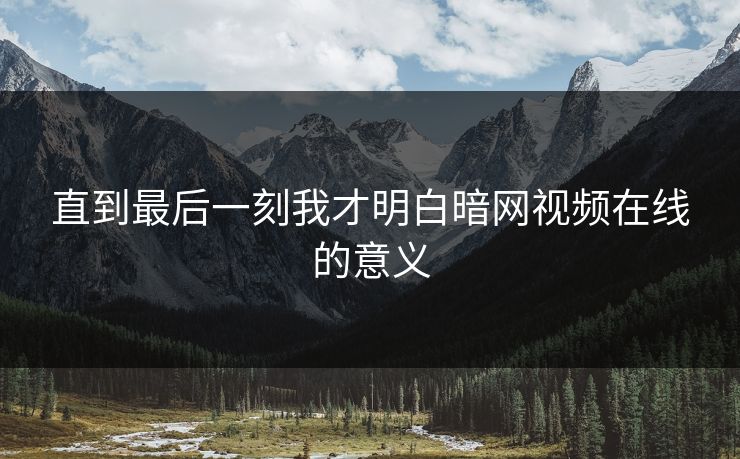 直到最后一刻我才明白暗网视频在线的意义