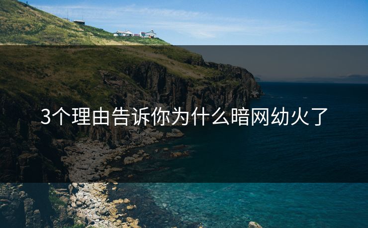 3个理由告诉你为什么暗网幼火了