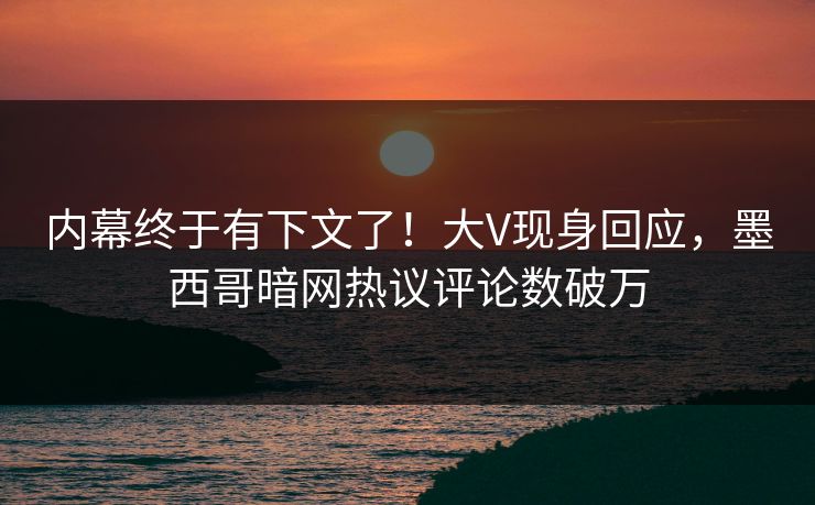 内幕终于有下文了！大V现身回应，墨西哥暗网热议评论数破万