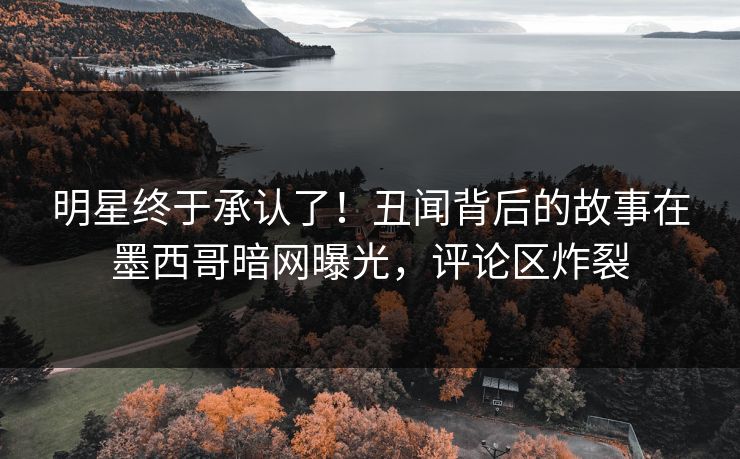 明星终于承认了！丑闻背后的故事在墨西哥暗网曝光，评论区炸裂