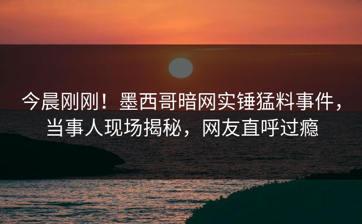 今晨刚刚！墨西哥暗网实锤猛料事件，当事人现场揭秘，网友直呼过瘾