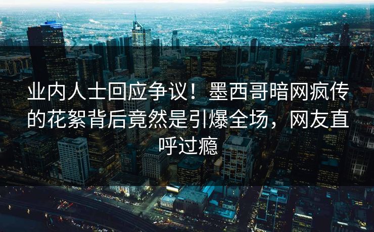 业内人士回应争议！墨西哥暗网疯传的花絮背后竟然是引爆全场，网友直呼过瘾