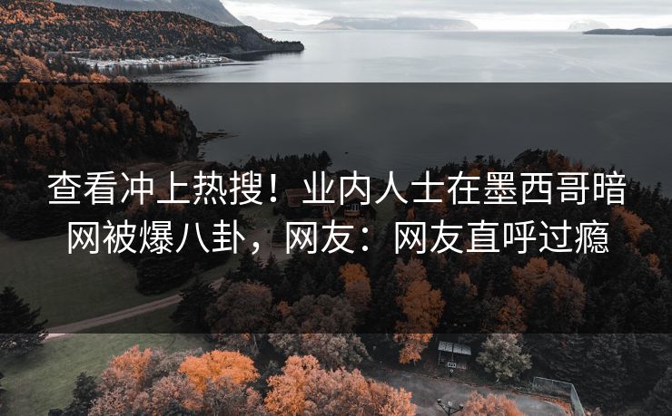 查看冲上热搜！业内人士在墨西哥暗网被爆八卦，网友：网友直呼过瘾