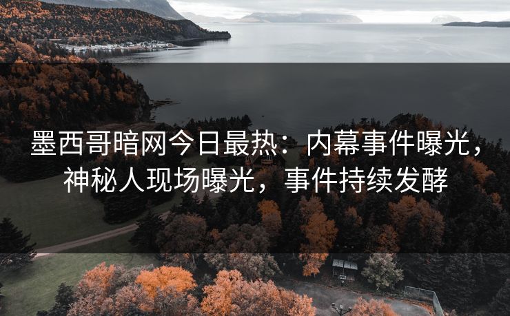 墨西哥暗网今日最热：内幕事件曝光，神秘人现场曝光，事件持续发酵