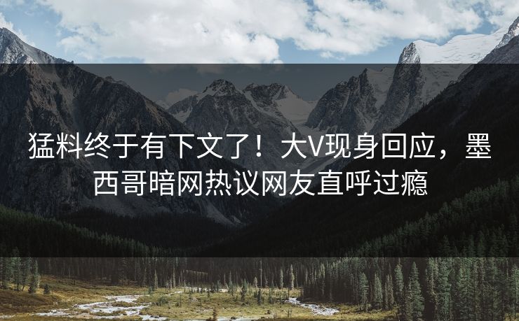 猛料终于有下文了！大V现身回应，墨西哥暗网热议网友直呼过瘾