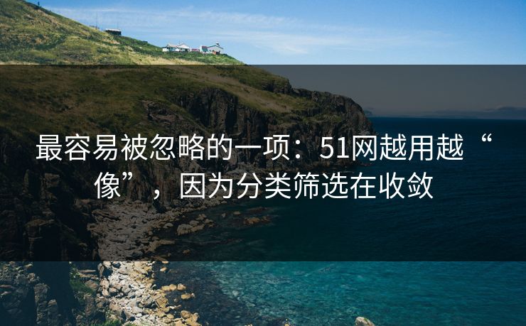 最容易被忽略的一项：51网越用越“像”，因为分类筛选在收敛