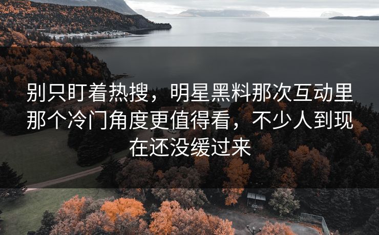 别只盯着热搜，明星黑料那次互动里那个冷门角度更值得看，不少人到现在还没缓过来